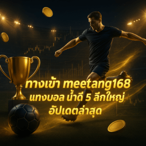 ทางเข้า meetang168